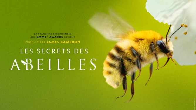 LE SECRET DES ABEILLES I LA NOUVELLE SÉRIE DOCUMENTAIRE NATIONAL GEOGRAPHIC MENÉE PAR L’EXPLORATEUR MULTI-RÉCOMPENSÉ BERTIE GREGORY SE DÉVOILE DANS UNE BANDE-ANNONCE OFFICIELLE
