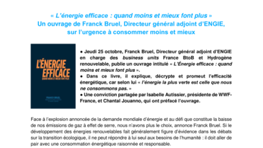 « L’énergie efficace : quand moins et mieux font plus » Un ouvrage de Franck Bruel, Directeur général adjoint d’ENGIE, sur l’urgence à consommer moins et mieux.pdf