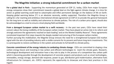 The Magritte initiative : a strong industrial commitment for a carbon market