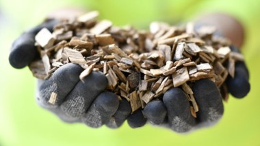 The GAYA platform produces its first cubic meters of green gas