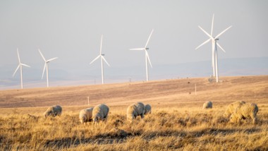 Le Kenya a inauguré le plus grand parc éolien d'Afrique