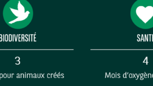 Schéma_ plantation arbre.png