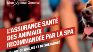 Mon Animal Generali SPA.png