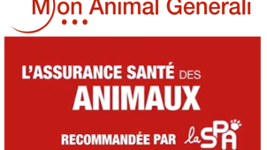 MAG recommandé par la SPA