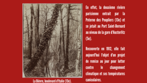 Le saviez-vous 8.2 (Bièvre)