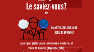 Le saviez-vous 5.1 (grêlon)