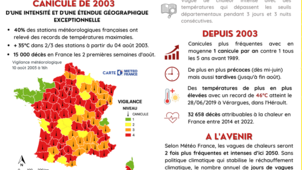 Infographie canicule