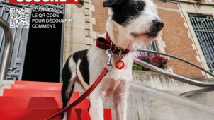 Generali_Visuel_campagne_pub_GAINAGE.jpg