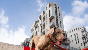 GENERALI_URBAN DOGGY FIT_JUMP.jpg