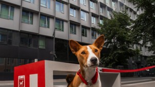 GENERALI_URBAN DOGGY FIT_SQUAT.jpg