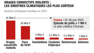 Dataviz climat 2025 2.png