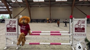 Mascotte Generali Equitation