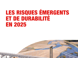 Rapport Risques émergents et durabilité 2025
