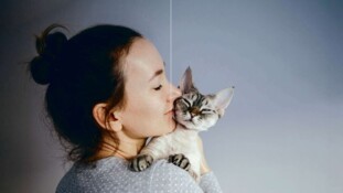 Assurance animaux : quels leviers pour développer enfin le marché ?