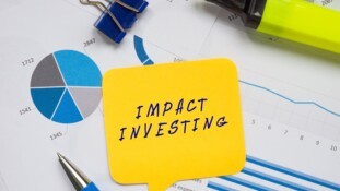 L’investissement à impact chez les investisseurs institutionnels