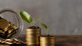 L'épargne entreprise s'affirme