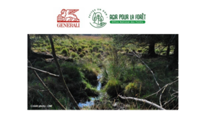 ASSURANCE-VIE : GENERALI PROPOSE UN PRODUIT STRUCTURÉ RESPONSABLE QUI SOUTIENT LE FONDS DE DOTATION « ONF-AGIR POUR LA FORÊT » DE L’OFFICE NATIONAL DES FORÊTS