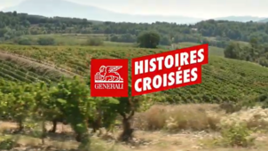 HISTOIRES CROISEES : LA PROTECTION DU TERROIR POUR VALEUR PARTAGÉE