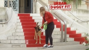 Prévention : « Urban Doggy Fit », une campagne qui détourne le mobilier urbain pour encourager l’activité physique des chiens en ville
