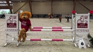 Equitation : Generali, la FFE et EquiAction lancent un nouveau trophée dédié à l’engagement durable des établissements équestres