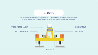 Vignette Cobra