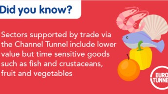 6 TWITTER Eurotunnel FIXE