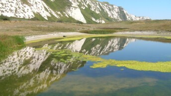 Samphire Hoe