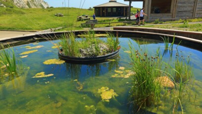 Samphire Hoe, the nature reserve of Eurotunnel