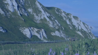 Environment: Samphire Hoe, the 30ha nature reserve of the Getlink Group in Kent