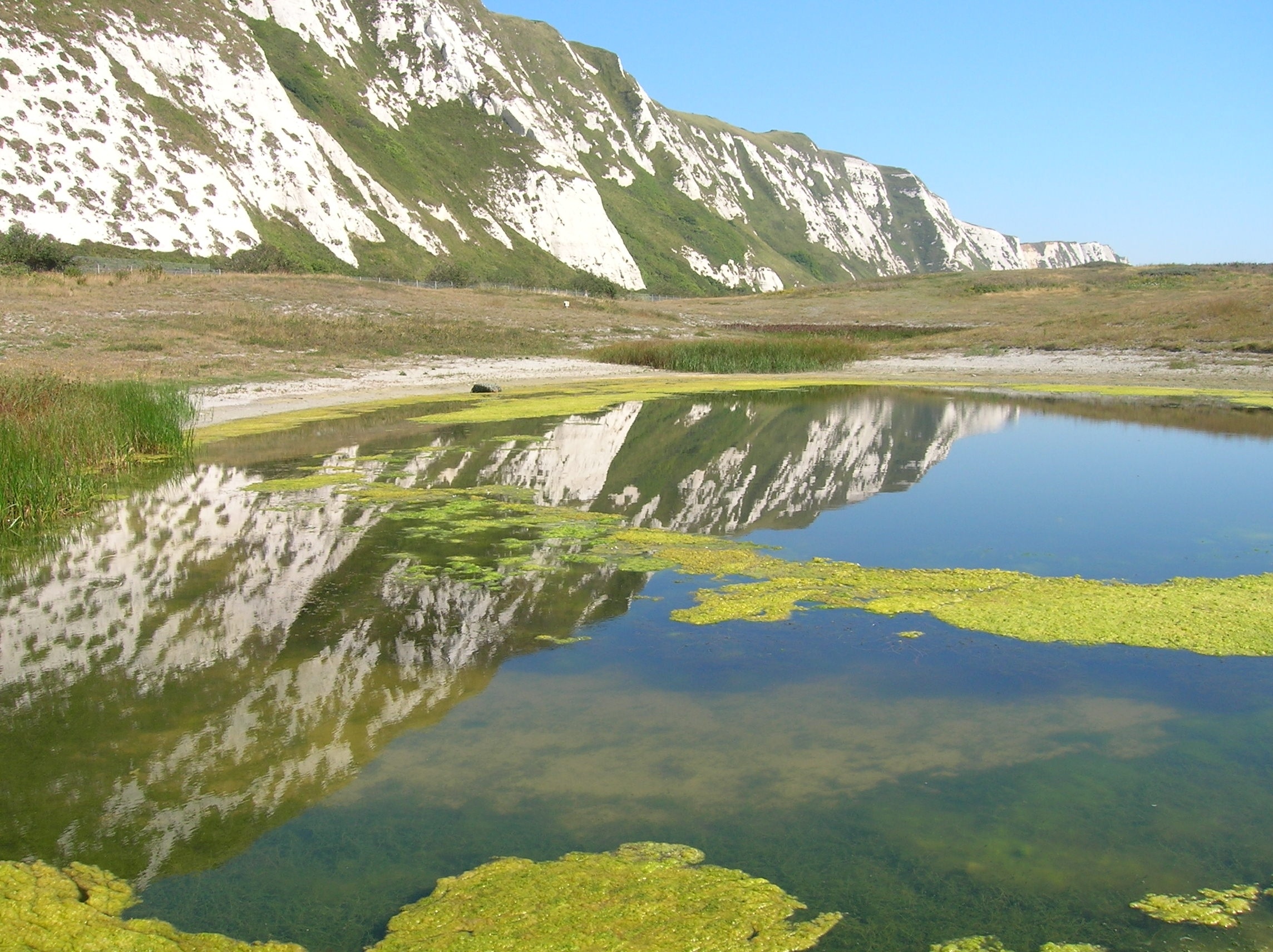 Samphire Hoe
