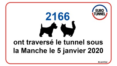 Nouveaux records de trafic début janvier