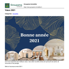 voeux-2021.pdf