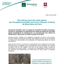 CP Des chênes issus des forêts gérées par Groupama Immobilier serviront à restaurer la flèche de Notre-Dame de Paris