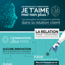 Infographie_Amaguiz-Les-Français-et-linnovation_291118.pdf