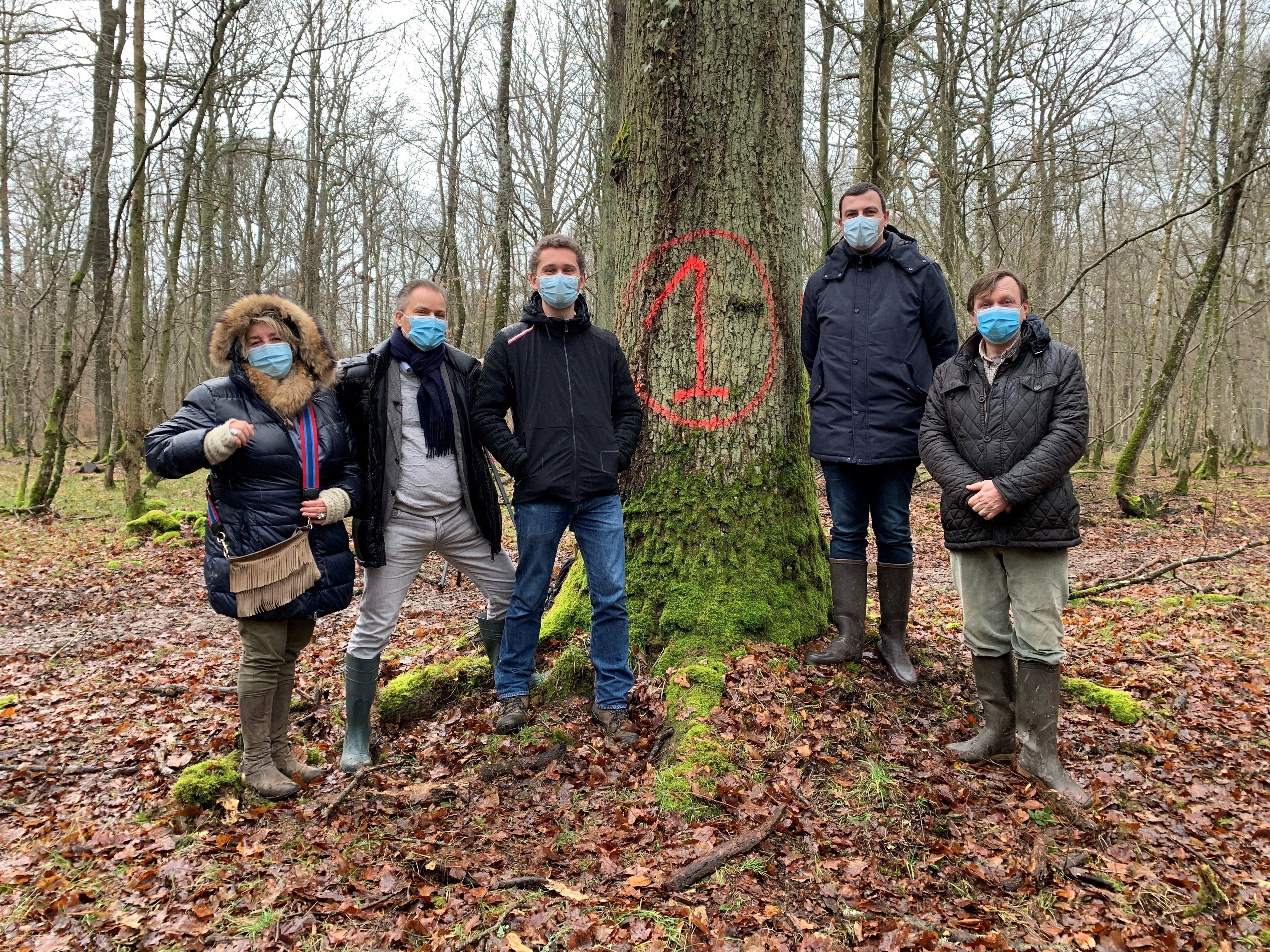Marquage_chenes_avril.jpg