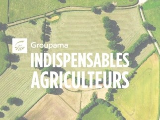 « Indispensables Agriculteurs » épisode #2 : Partez avec Cerise à la rencontre de Gaël Blard