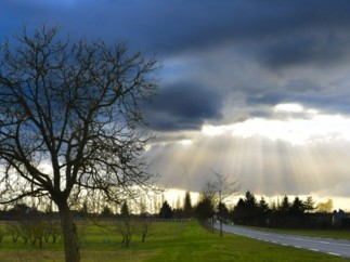 Les grandes entreprises de l’Afep investissent pour le climat avec des projets concrets