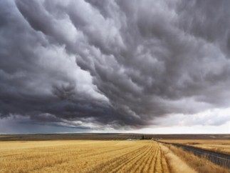 Groupama renforce son dispositif de soutien psychologique pour les agriculteurs