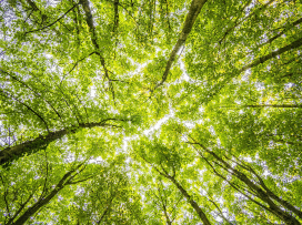 Sustainable Fitch réhausse la notation ESG de Groupama à 2