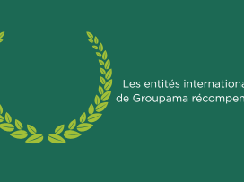 Les entités internationales de Groupama récompensées pour leurs produits et leur accompagnement client