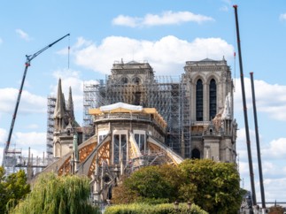 Groupama offre les 1.300 chênes centenaires nécessaires à la reconstruction de la charpente de Notre-Dame de Paris
