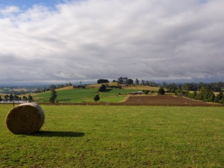 ELITIS INSURANCE s’associe à GROUPAMA pour lancer AGRIPROTECT, une assurance complète pour les agriculteurs wallons