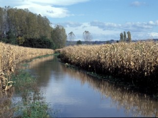 Intempéries : Groupama mobilisé aux côtés des agriculteurs
