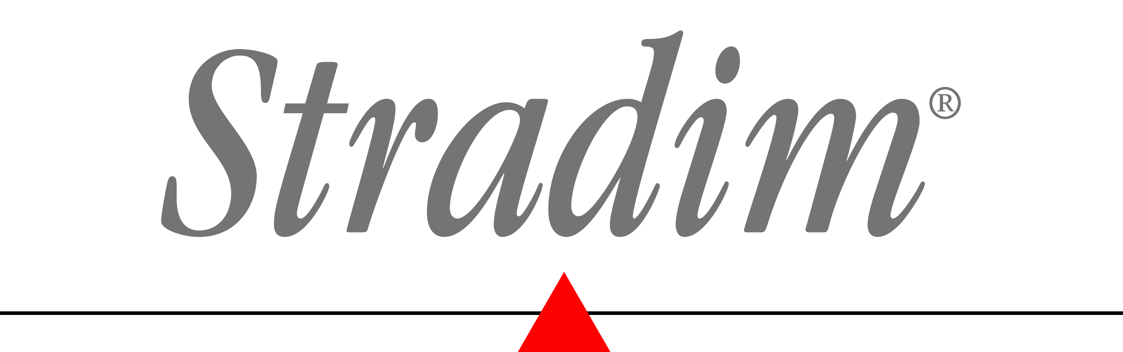 Logo stradim.png