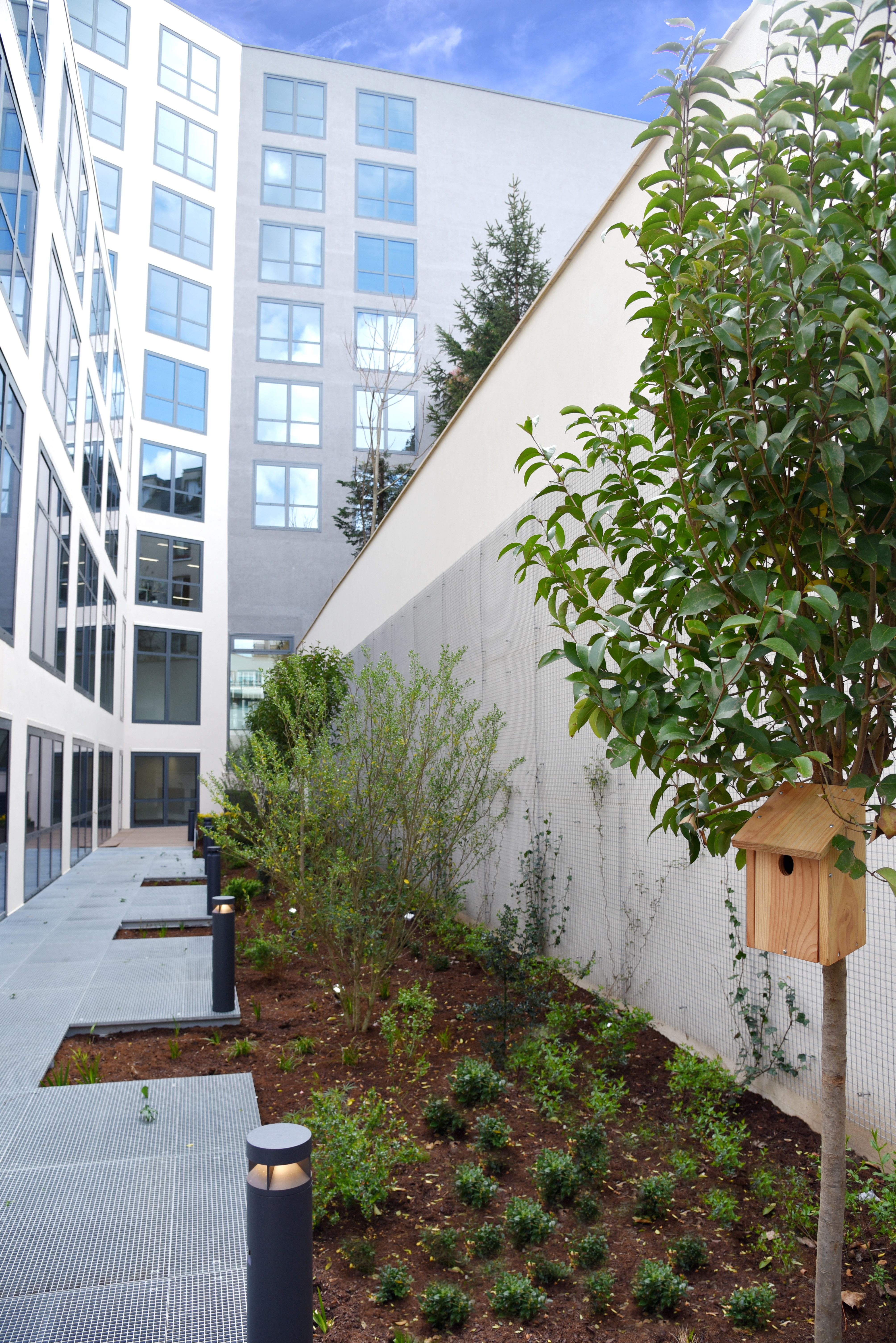Montrouge_vue_cours.jpg