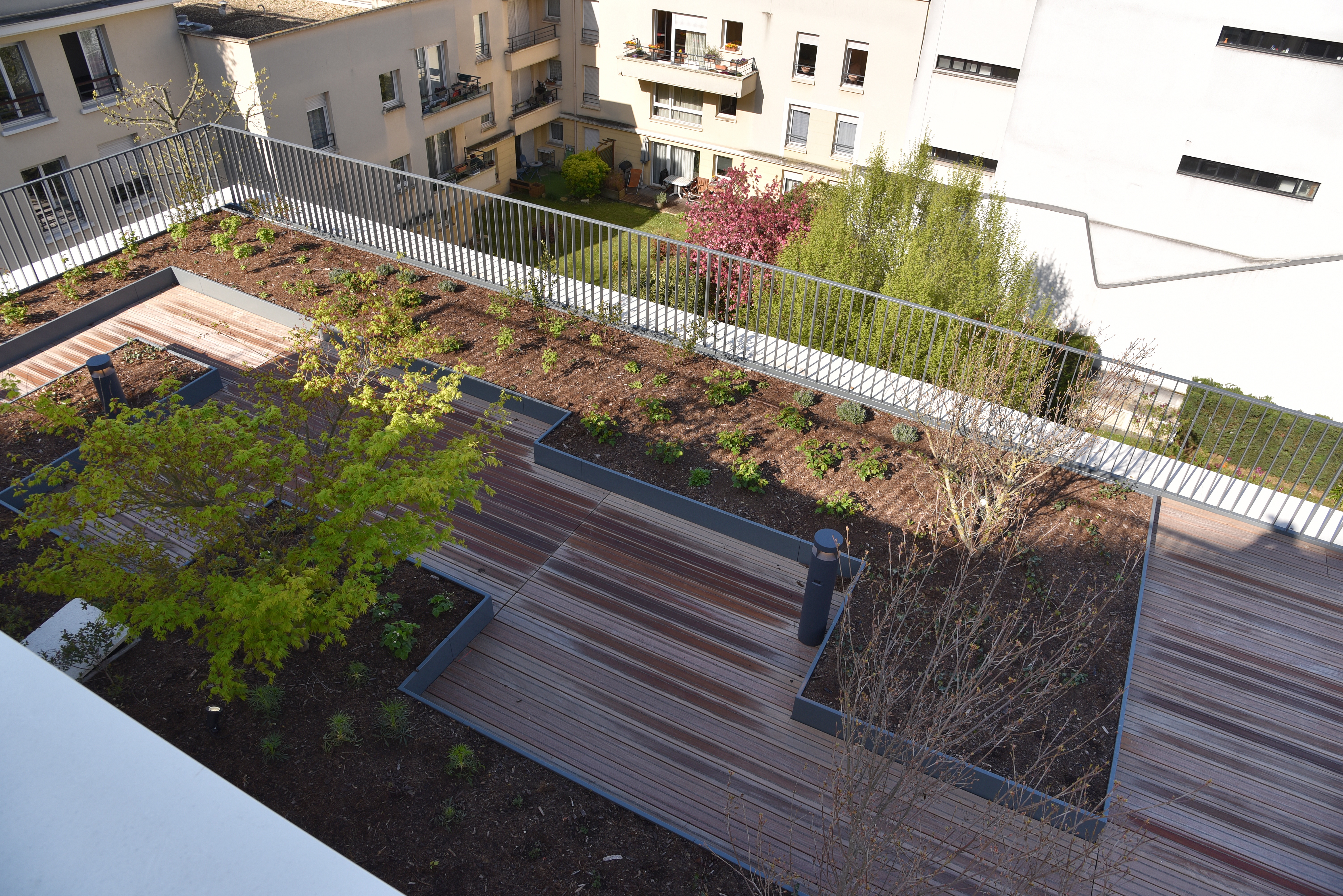Montrouge_vue_jardin_toiture.JPG