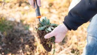 Kaufman & Broad s’engage pour la biodiversité à Aix-la-Duranne