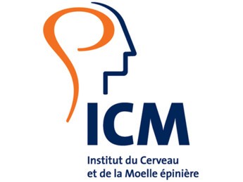Logo ICM