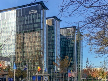 Starlight photo no copyright necessary.jpg