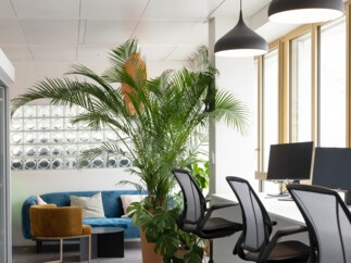 Les bureaux parisiens